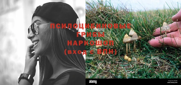 хмурый Надым