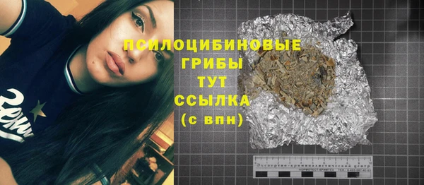 хмурый Надым