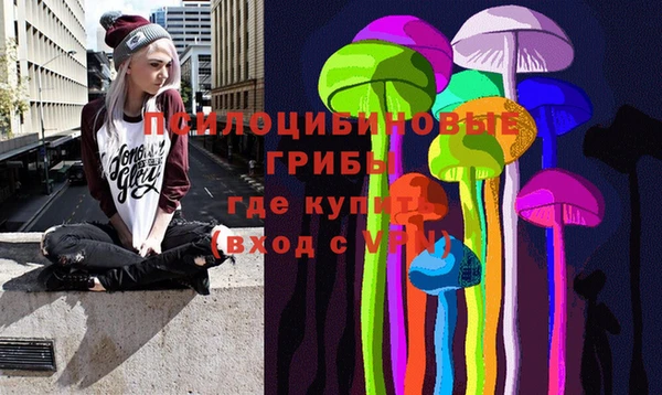 хмурый Надым